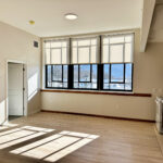 Dana Lyon 2BR Living