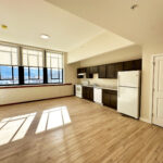 Dana Lyon 2BR Living Kitchen