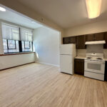 Dana Lyon 2BR Living Kitchen 3